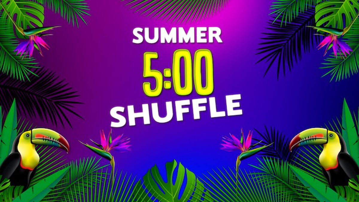 Summer Shuffle image number 0